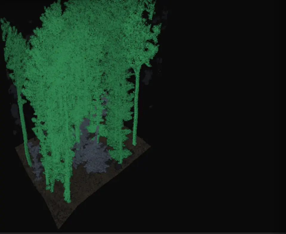 Stem mapping and tree models (TLS): Every stem measured, every tree as cylinders