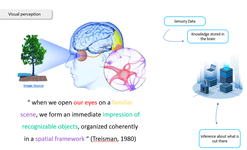 The visual perception parallel to point cloud processing