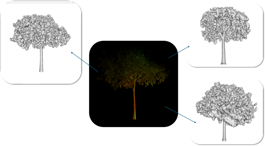 a point cloud to 3D mesh of a tree with marching cubes