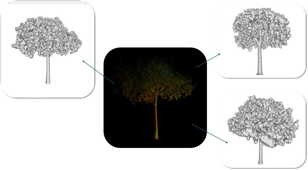 a point cloud to 3D mesh of a tree with marching cubes