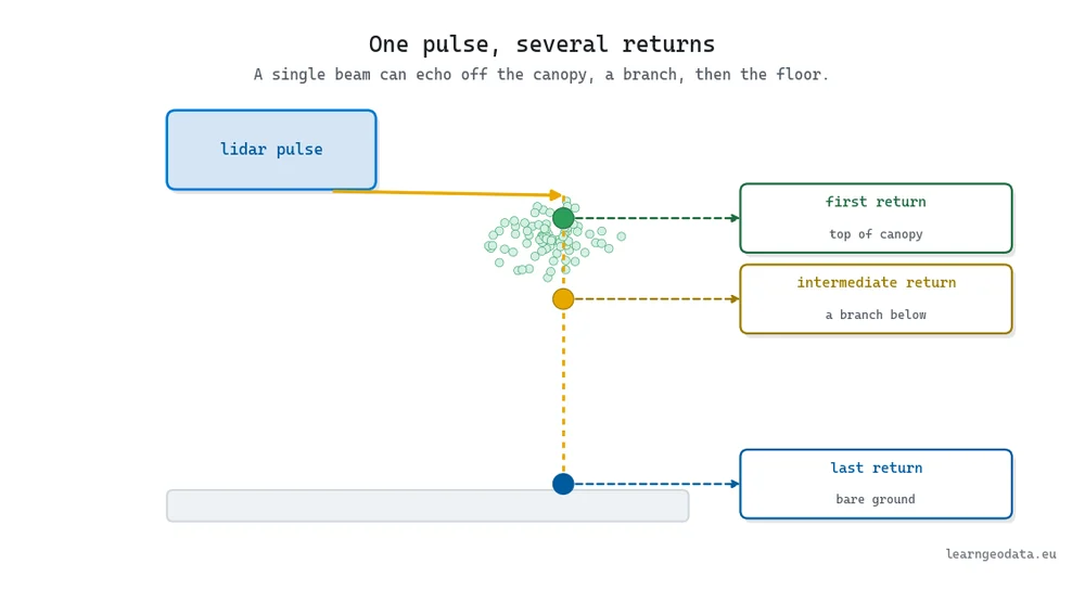 Multiple LiDAR returns from a single pulse: first return off the canopy, intermediate off a branch, last off the ground