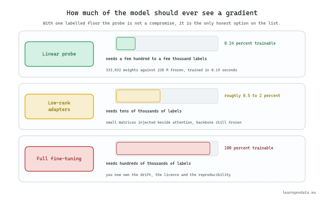 Diagram of adaptation strategies for multimodal foundation models 3D work, comparing a linear probe at 0.14 percent trainable, low-rank adapters at roughly 0.5 to 2 percent, and full fine-tuning